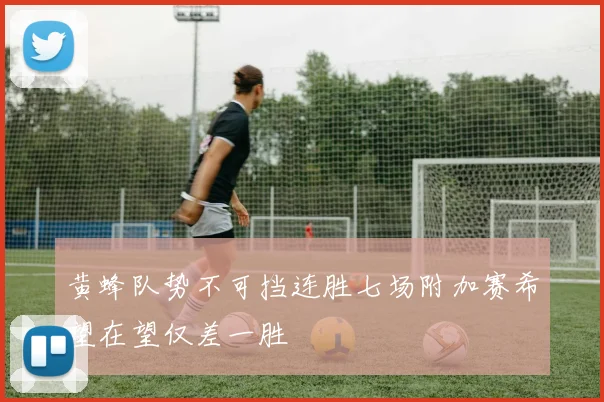 黄蜂队势不可挡连胜七场附加赛希望在望仅差一胜